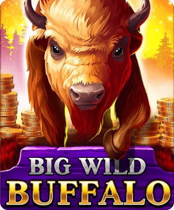 Big Wild Buffalo