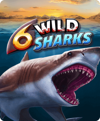 6 Wild Sharks