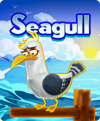 Seagull